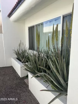 Photo #6: 6549344 Listing