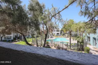 Photo #1: 6551349 Listing