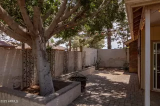 Photo #5: 6555844 Listing