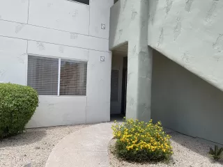 Photo #1: 6559052 Listing