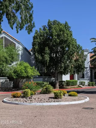 Photo #1: 6560681 Listing