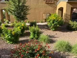 Photo #2: 6561424 Listing 