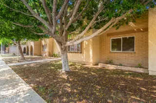 Photo #4: 6575467 Listing