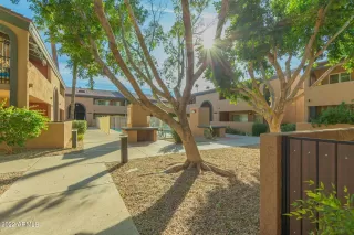 Photo #1: 6586595 Listing 