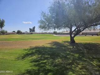 Photo #3: 6620835 Listing