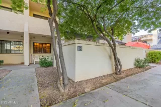 Photo #1: 6629127 Listing 