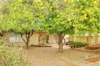 Photo #3: 6635279 Listing