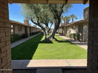 Photo #1: 6644704 Listing 