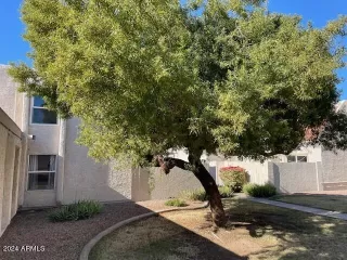 Photo #1: 6645382 Listing 