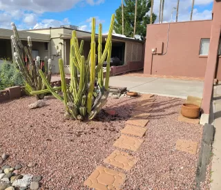 Photo #3: 6655606 Listing 