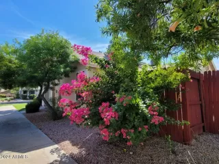 Photo #3: 6665888 Listing