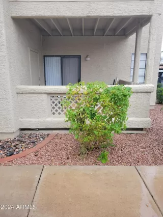 Photo #3: 6671575 Listing 