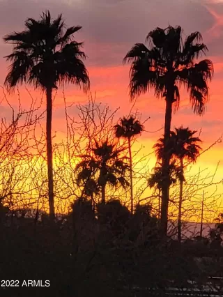 Photo #5: 6671843 Listing