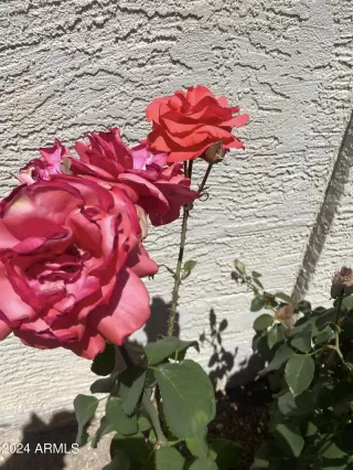 Photo #2: 6680064 Listing