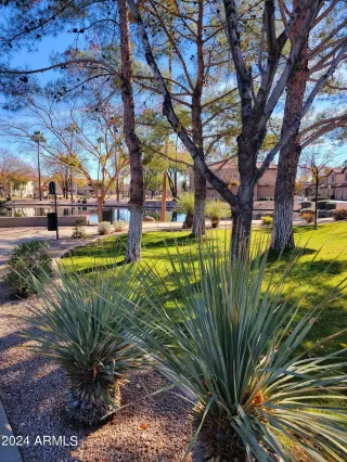 Photo #4: 6691352 Listing 