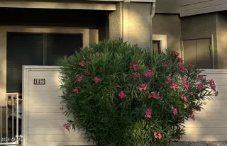 Photo #4: 6698235 Listing