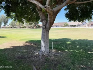 Photo #3: 6699588 Listing