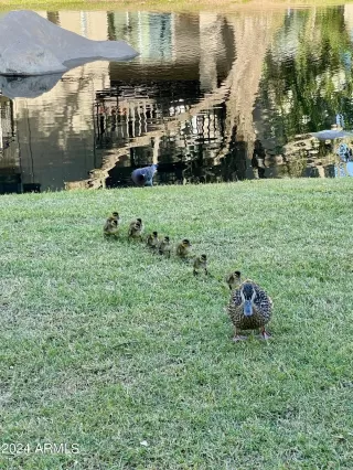 Photo #2: 6703334 Listing