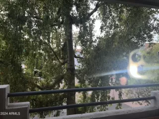 Photo #2: 6717956 Listing