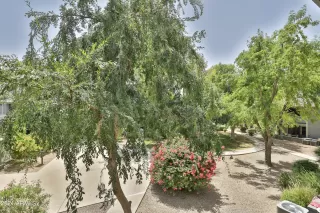 Photo #4: 6722628 Listing 