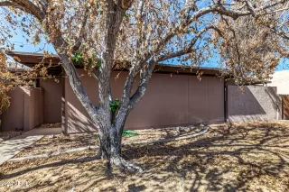 Photo #1: 6777205 Listing 