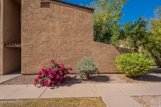 Photo #1: 6778774 Listing 