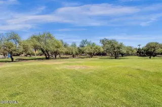 Photo #4: 6838683 Listing