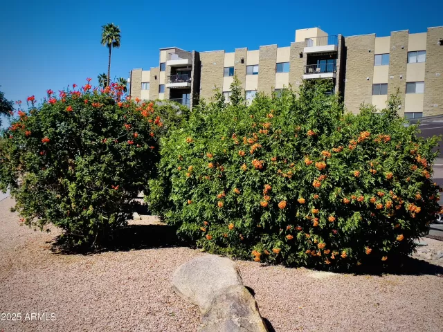 MLS: 6847446 Condo For Sale