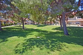 Photo #1: 6847458 Listing 