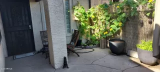 Photo #5: 6889877 Listing 