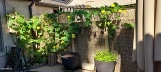 Photo #6: 6889877 Listing 