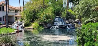 Photo #2: 6933851 Listing 