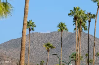 Photo #5: 6951991 Listing