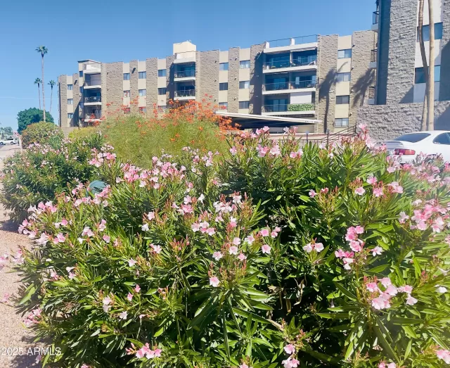 MLS: 6952950 Condo For Sale