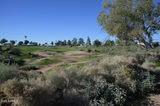 Photo #4: 6955013 Listing