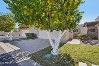 Photo #1: 6956094 Listing