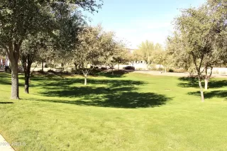 Photo #6: 6960578 Listing 