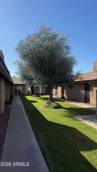 Photo #1: 6976768 Listing