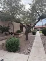 Primary Photo for MLS#: 6983307