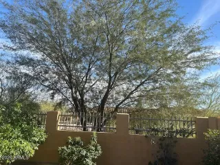 Photo #4: 6984213 Listing