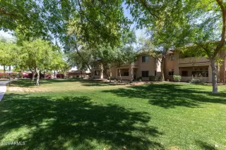 Primary Photo for MLS#: 7013051