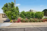 Primary Photo for MLS#: 7018009