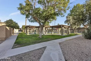 Photo #2: 7038026 Listing 