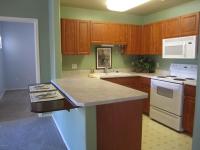 More Details about MLS # 5137362 : 235 E RAY ROAD #1092