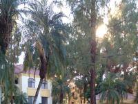 More Details about MLS # 5230925 : 1101 S SYCAMORE -- #122