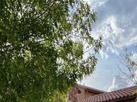 More Details about MLS # 6456123 : 4700 S FULTON RANCH BOULEVARD #73