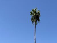 More Details about MLS # 6548725 : 629 N MESA DRIVE#41