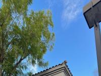 More Details about MLS # 6583342 : 600 W GROVE PARKWAY#2062