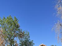 More Details about MLS # 6837338 : 50 W CALLE DE ARCOS