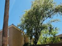 More Details about MLS # 6839159 : 1335 E JUNE STREET#113